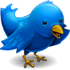 bird1